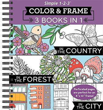 portada Color and Frame 3 in 1 City (Color & Frame) (in English)
