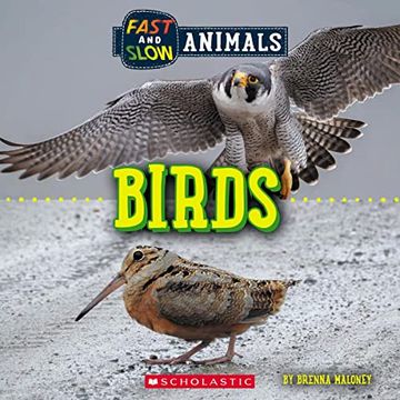 portada Fast and Slow: Birds (Wild World) (en Inglés)