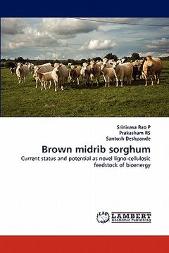 portada brown midrib sorghum (en Inglés)