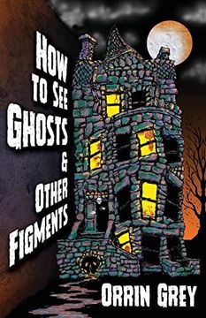 portada How to see Ghosts & Other Figments (in English)