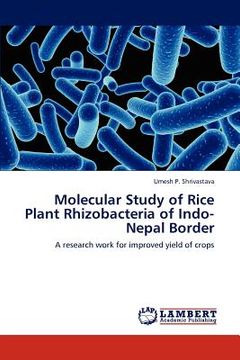portada molecular study of rice plant rhizobacteria of indo-nepal border (en Inglés)