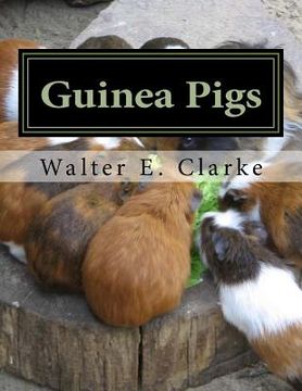 portada Guinea Pigs: A Practical Treatise on their Breeding, Feeding and Management of Cavies (en Inglés)