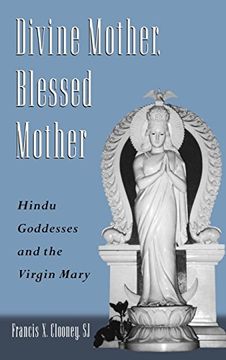 portada Divine Mother, Blessed Mother: Hindu Goddesses and the Virgin Mary (en Inglés)