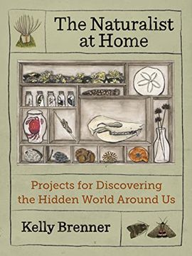 portada The Naturalist at Home: Projects for Discovering the Hidden World Around us (en Inglés)