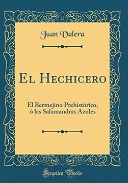 portada El Hechicero: El Bermejino Prehistórico, ó las Salamandras Azules (Classic Reprint)