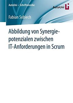 portada Abbildung von Synergiepotenzialen Zwischen It-Anforderungen in Scrum (en Alemán)