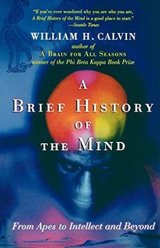 portada A Brief History of the Mind: From Apes to Intellect and Beyond (in English)