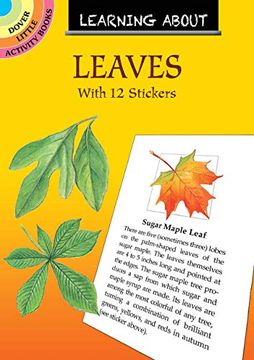 portada Learning About Leaves: With 12 Stickers (Dover Little Activity Books) 