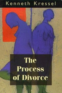 portada the process of divorce: helping couples negotiate settlements