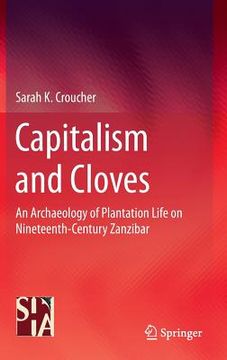 portada an archaeology of plantation life in nineteenth century zanzibar (en Inglés)