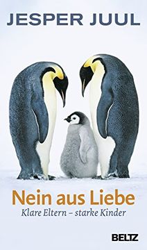 portada Nein aus Liebe: Klare Eltern - Starke Kinder (in German)