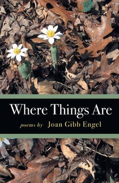 portada Where Things Are (in English)