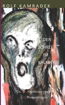 portada Der Schrei im Kalkberg: Abenteuer eines Waisenjungen (en Alemán)