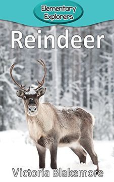 portada Reindeer (Elementary Explorers)