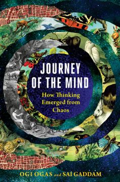 portada Journey of the Mind: How Thinking Emerged From Chaos (en Inglés)