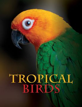 portada Tropical Birds (in English)