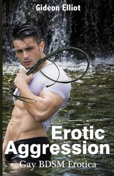 portada Erotic Aggression: Gay BDSM Erotica (en Inglés)