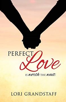 portada Perfect Love (en Inglés)