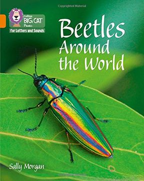portada Beetles: Band 6/Orange (en Inglés)