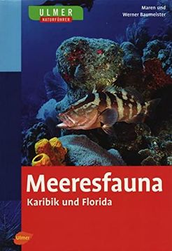 portada Meeresfauna Karibik und Florida (en Alemán)
