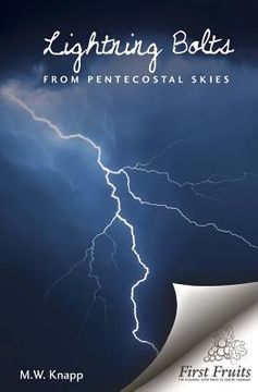 portada Lightning Bolts from Pentecostal Skies: Devices of the Devil Unmasked (en Inglés)