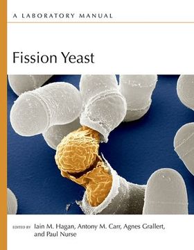 portada Fission Yeast: A Laboratory Manual (in English)