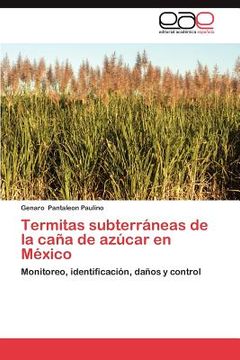 portada termitas subterraneas de la cana de azucar en mexico (in Spanish)