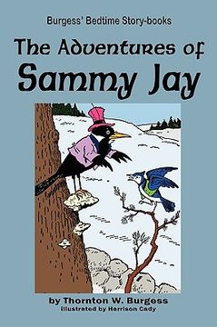 portada the adventures of sammy jay (en Inglés)