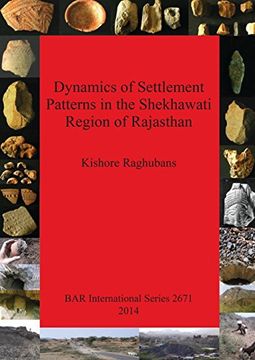 portada Dynamics of Settlement Patterns in the Shekhawati Region of Rajasthan: Prehistoric to early historic periods with special reference to ancient mining ... activities (BAR International Series)