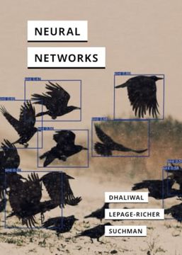 portada Neural Networks (in Search of Media) (en Inglés)