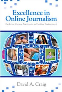 portada Excellence in Online Journalism: Exploring Current Practices in an Evolving Environment (en Inglés)