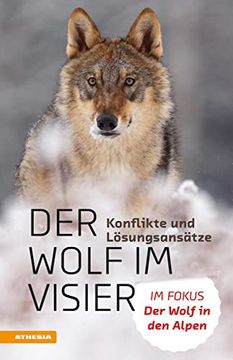 portada Mit dem Wolf Leben? Konflikte und Lösungsansätze: Der Wolf in den Alpen: Die 100 Wichtigsten Fragen und Antworten (en Alemán)