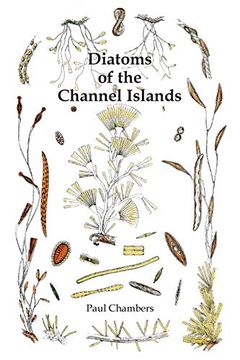 portada Diatoms of the Channel Islands (in English)