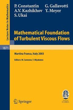 portada mathematical foundation of turbulent viscous flows (en Inglés)