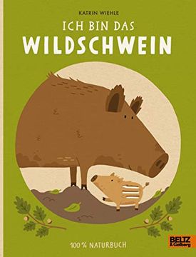 portada Ich bin das Wildschwein: 100 % Naturbuch - Vierfarbiges Papp-Bilderbuch (en Alemán)