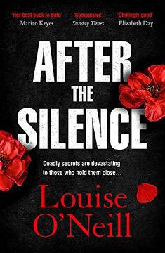 portada After the Silence: The an Post Irish Crime Novel of the Year (en Inglés)