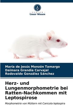 portada Herz- und Lungenmorphometrie bei Ratten-Nachkommen mit Leptospirose (en Alemán)