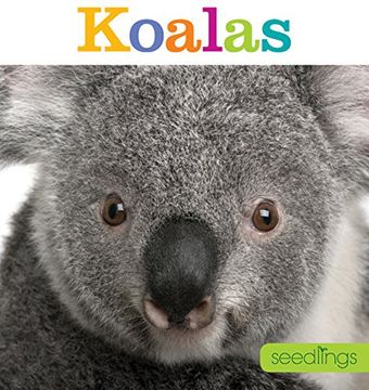 portada Seedlings: Koalas