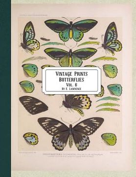 portada Vintage Prints: Butterflies: Vol. 3 (en Inglés)