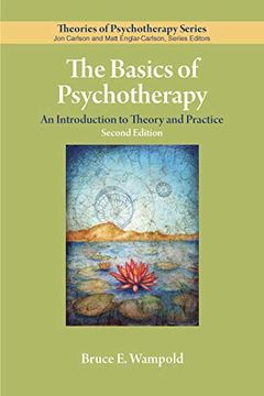 portada The Basics of Psychotherapy: An Introduction to Theory and Practice (Theories of Psychotherapy Series) (in English)