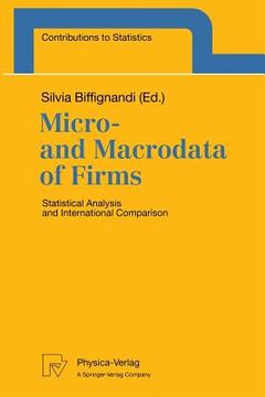 portada micro- and macrodata of firms: statistical analysis and international comparison (in English)