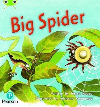 portada Bug Club Phonics Fiction Year 1 Phase 5 Unit 27 big Spider (Phonics Bug) 