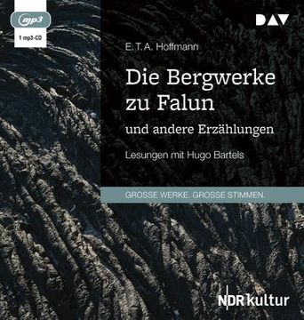 portada Die Bergwerke zu Falun und Andere Erzählungen: Lesungen mit Hugo r. Bartels (en Alemán)