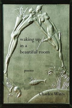 portada Waking Up in a Beautiful Room (en Inglés)
