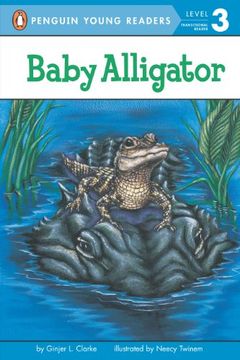 portada Baby Alligator 
