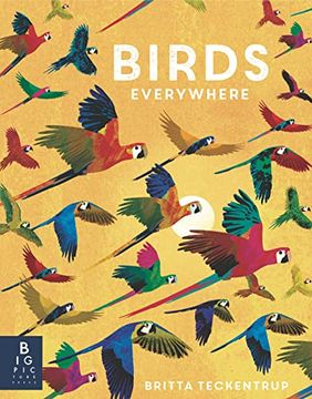 portada Birds Everywhere (en Inglés)
