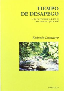 portada Tiempo de Desapego (in Spanish)
