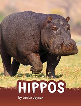 portada Hippos (Animals) (en Inglés)
