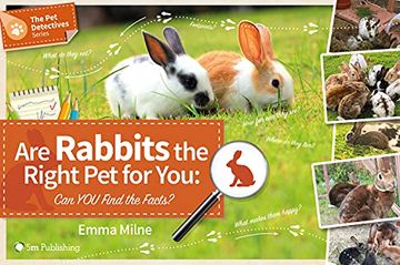 portada Are Rabbits the Right Pet for You: Can You Find the Facts? (en Inglés)