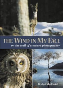 portada The Wind in my Face (in English)